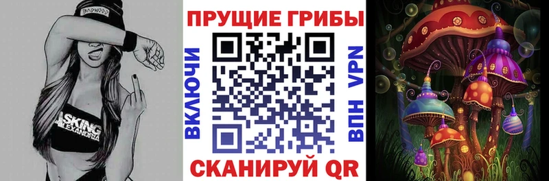 купить  сайты  Гороховец  Псилоцибиновые грибы GOLDEN TEACHER 